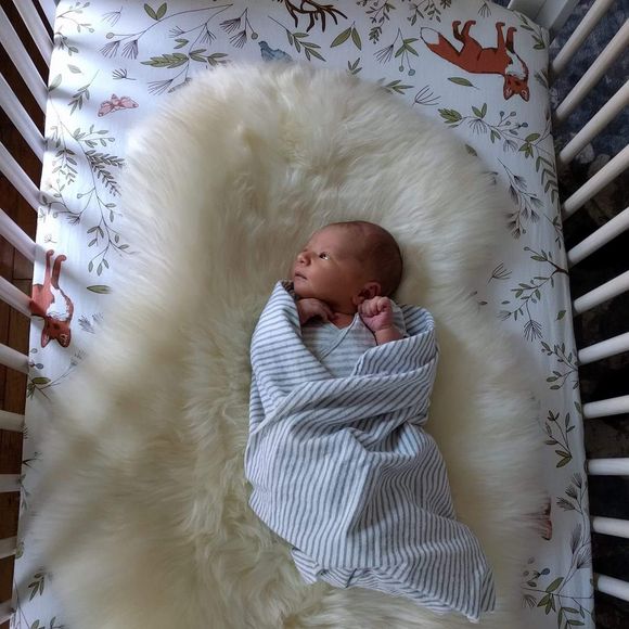 Meet your Posher, Elise - Picture 1 of 1